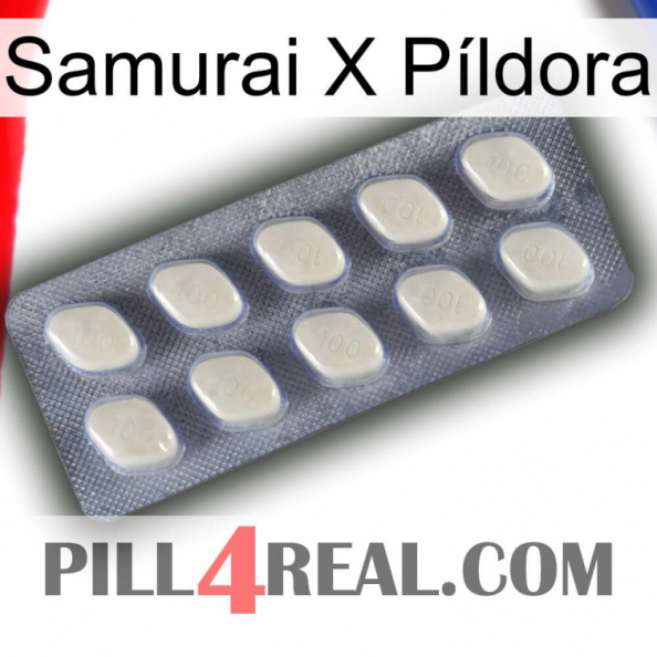 Samurai X Píldora 08.jpg